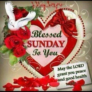 Meet your Posher, Jovette